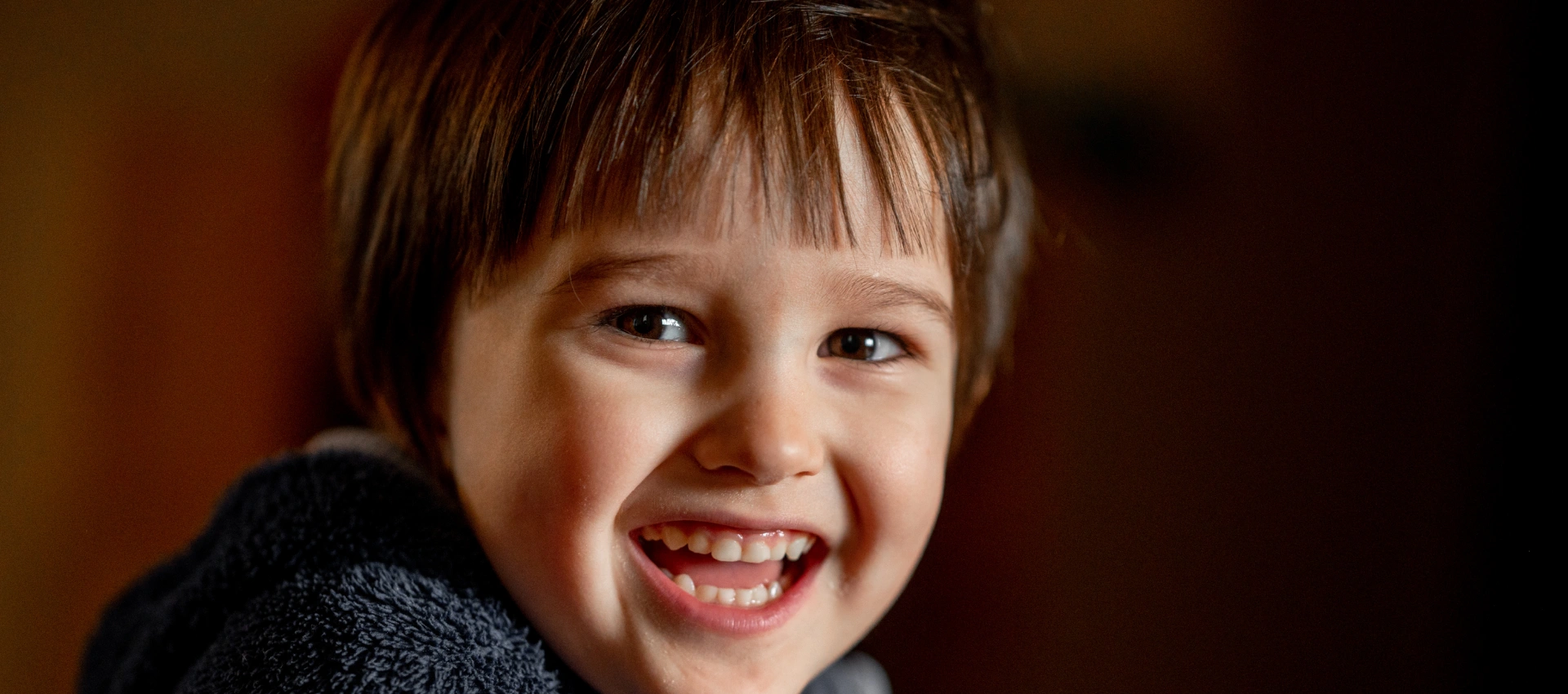 Stem Cell Research in Dental Regeneration: Growing New Teeth